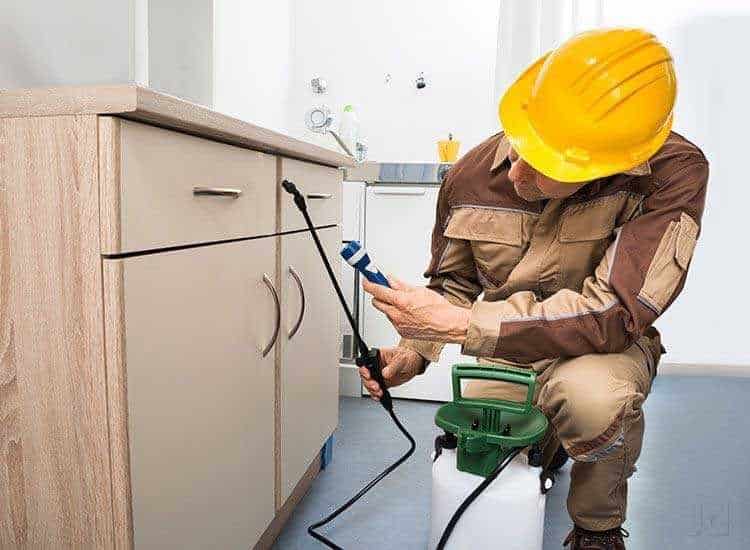 pest control in panchkula pest control in panchkula