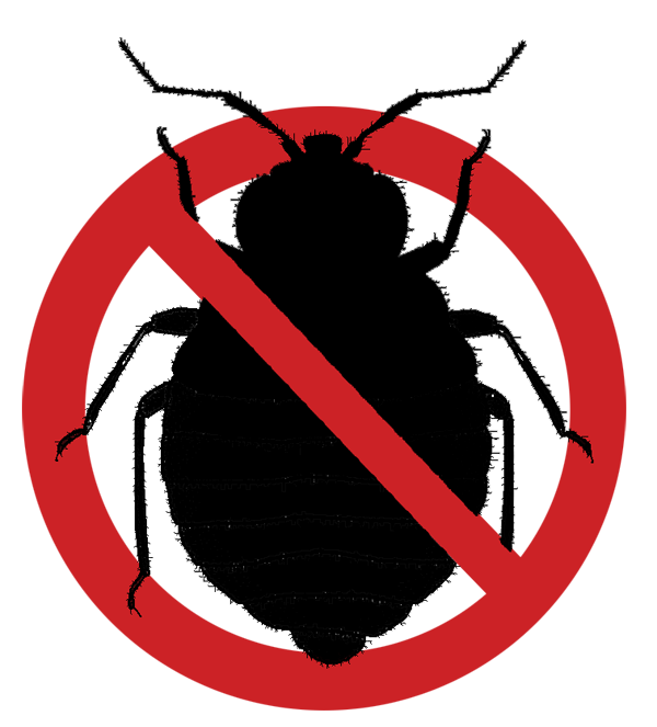 bedbugstop pest control in panchkula