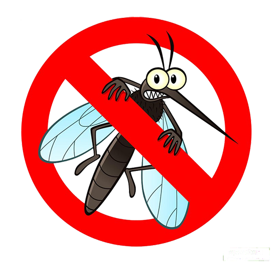 mosquitoes4
