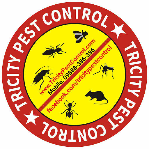 pest control in panchkula